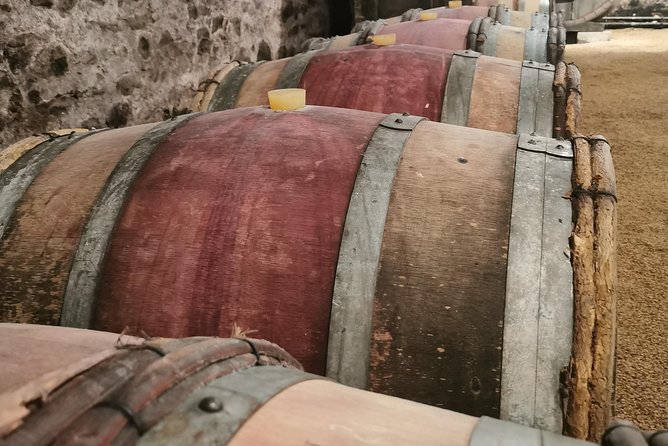 Beaujolais Wine Tasting Day Tour From Lyon - Tasting Exquisite Wines