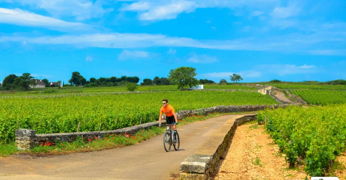 Beaune: Winery Tour by Bike With Wine Tasting - Biking Through Vineyards