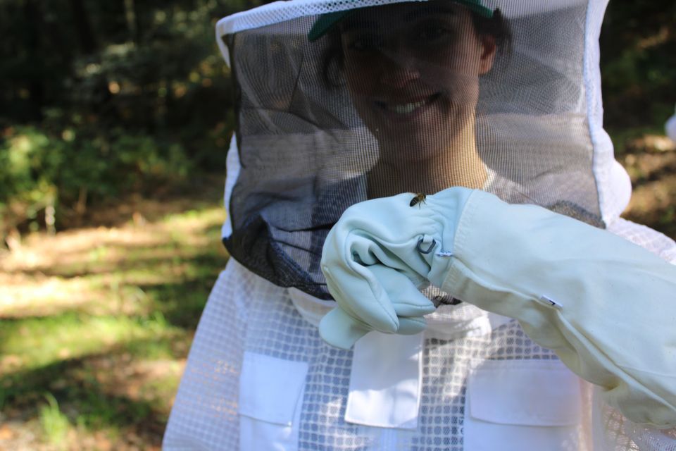 Beekeeping Tour in Amarante With Honey Tasting - Experience Highlights