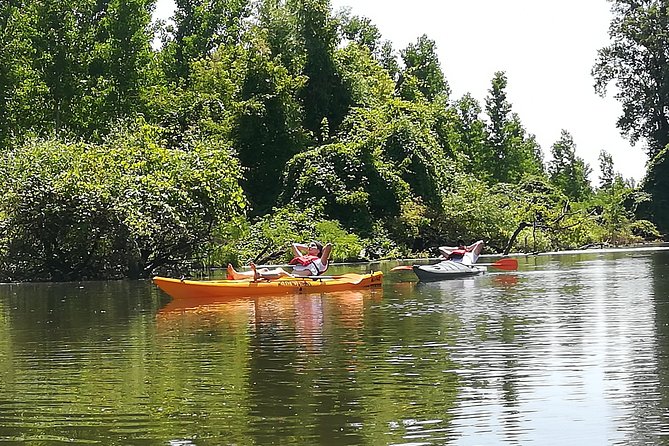 Belgrade Amazon Kayak Adventure - Meeting Point and Endpoint