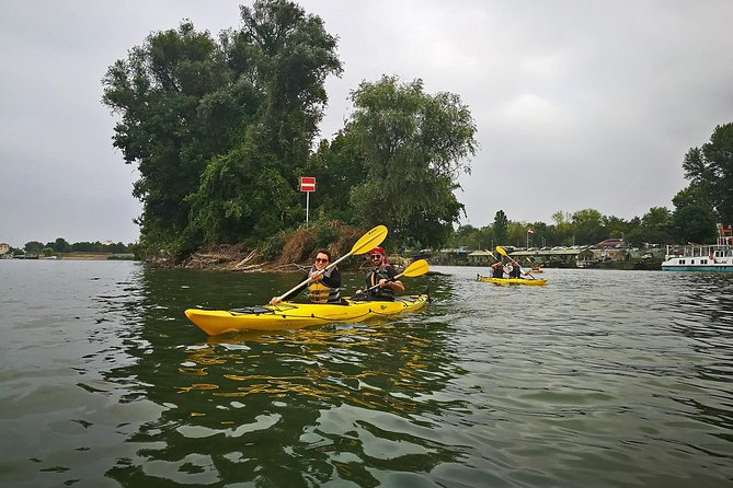 Belgrade War Island Kayak Tour - Spotting Prized Birds