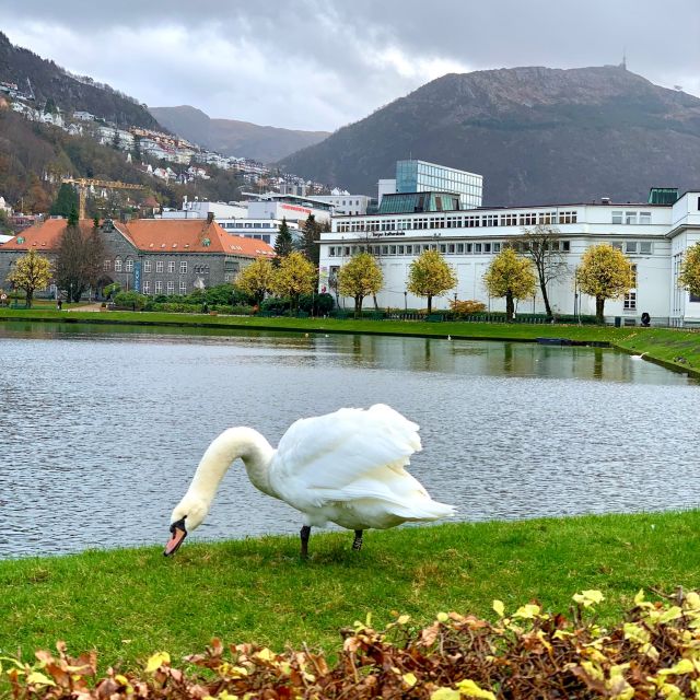 Bergen Discovery by Car - Itinerary Highlights