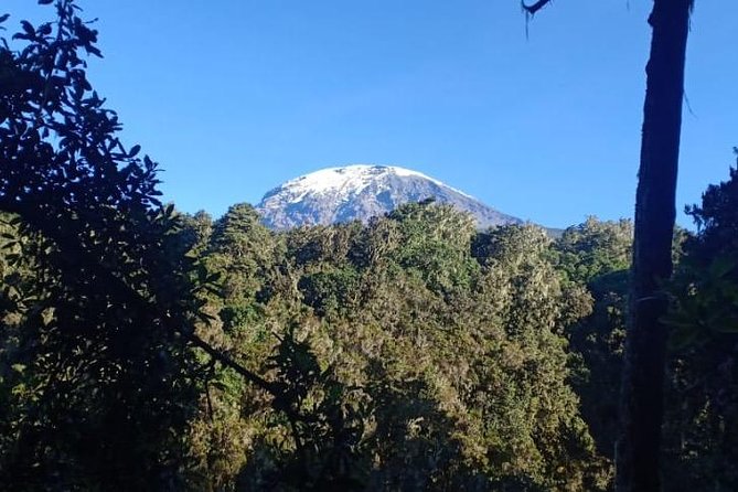 Best Kilimanjaro Hiking Day Trip Tour With Kilinge Adventures - Pricing and Guarantees