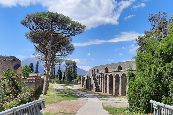 Best of Pompeii - 2 Hour Private Tour With Alex - Visit to the Forum