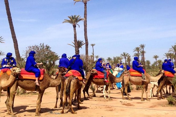 Best Sunset Camel Ride With Tea Break in Palm Grove of Marrakech - Sunset Timing and Benefits