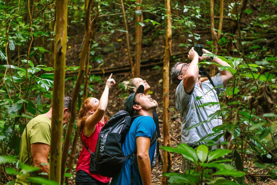 Big Island: Native Bird Watching & Hiking Tour - Inclusions