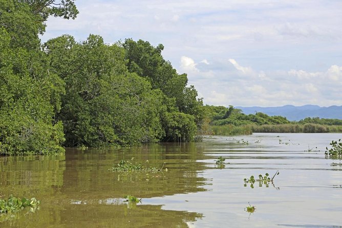 Black River Safari and YS Falls - Experiencing the Black River Safari