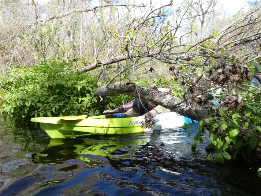 Blackwater Creek: Exclusive Nature Escape Kayak Adventure - Booking and Cancellation Policy