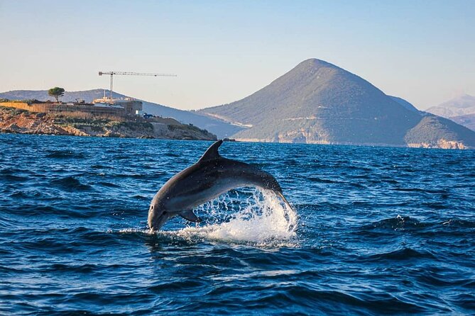 Blue Cave and Lady of the Rocks - Kotor Tour up to 10 People 3hrs - Meeting Point and Location