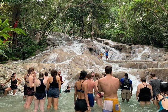 Blue Hole and Dunns River Falls Private Tour From Montego Bay - Highlights