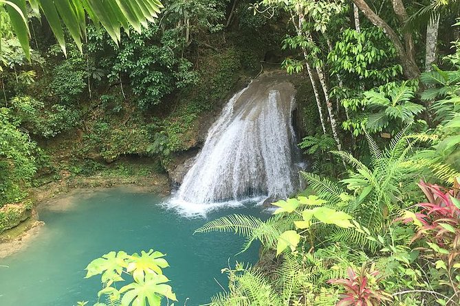 Blue Hole Tour From Montego Bay - Inclusions