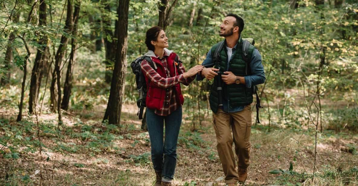 Blue Ridge Parkway Waterfalls: Hiking Tour From Asheville - Highlights