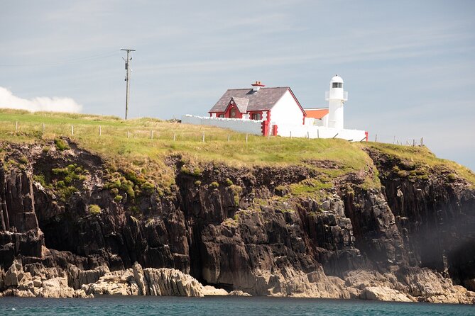 Boat Tour of Dingle Peninsula - Practical Information