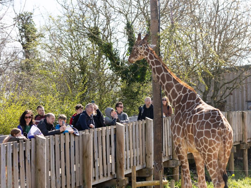 Bristol: Bristol Zoo Project Entry Ticket - Zoo Highlights