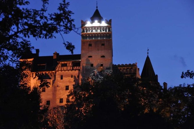 Brown Bear Sanctuary, Rasnov Fortress and Bran Castle Tour From Brasov - Tour Highlights