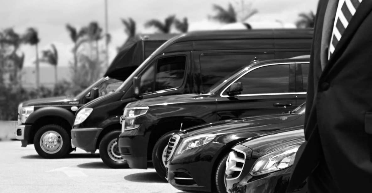 Brussels: VIP Transfer Between City/ Airport and Ghent - Service Highlights