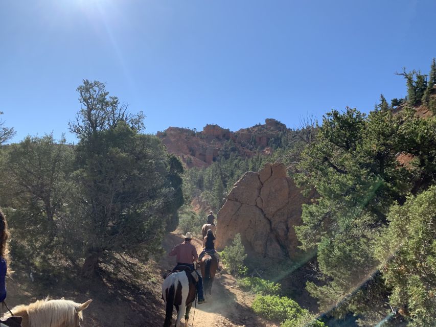 Bryce Canyon City: Horseback Riding Tour in Red Canyon - Pricing and Booking