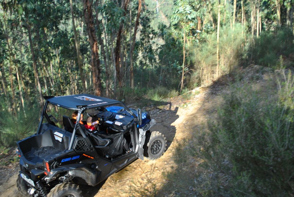 Buggy Experiences - Maverick Buggy Rental