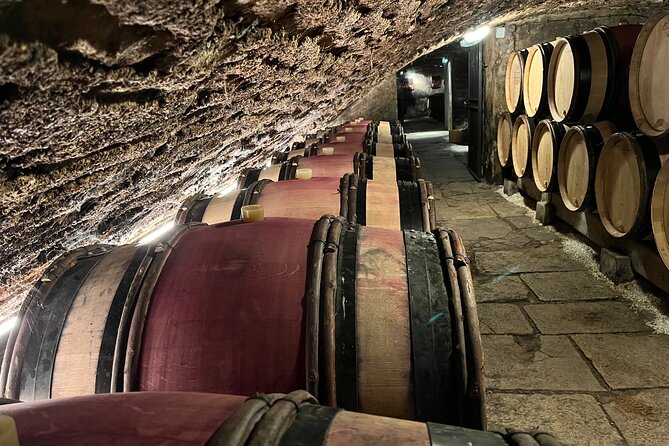 Burgundy Grand Crus Route Day Tour - 12 Wines Tastings in Domains - Meeting Point and Logistics