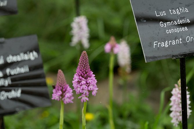 Burren Nature Sanctuary - Activities Offered