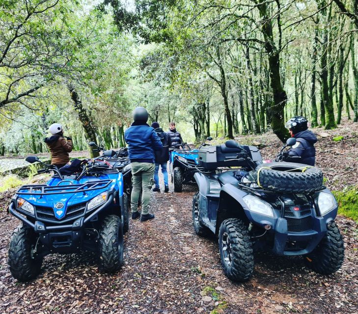 Cagliari: Waterfalls Quad-Atv Adventure From Domus De Maria - Quad ATV Specifications