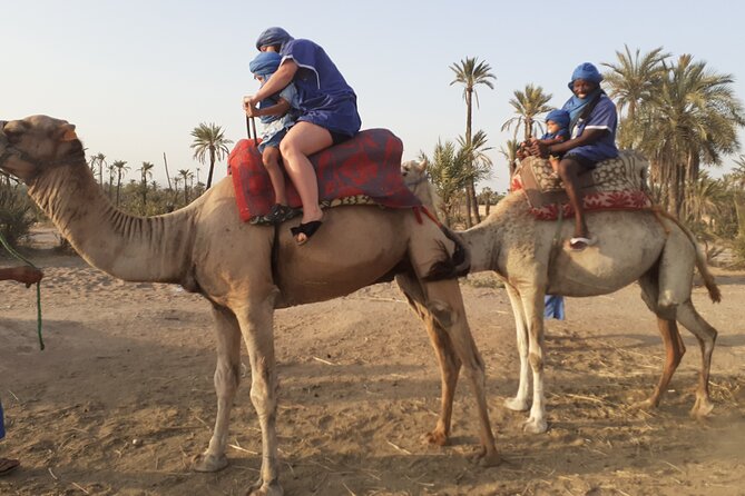 Camel Ride & Quad Bike Tours in the Palm Grove of Marrakech - Camel Ride Experience