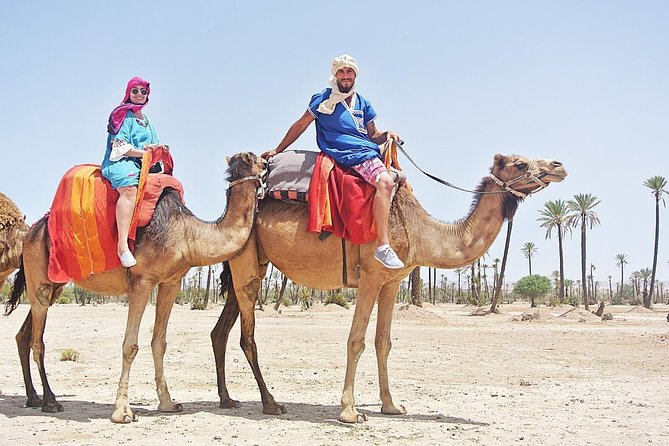 Camel Trek Around Marrakech Palmeraie - Sights and Views