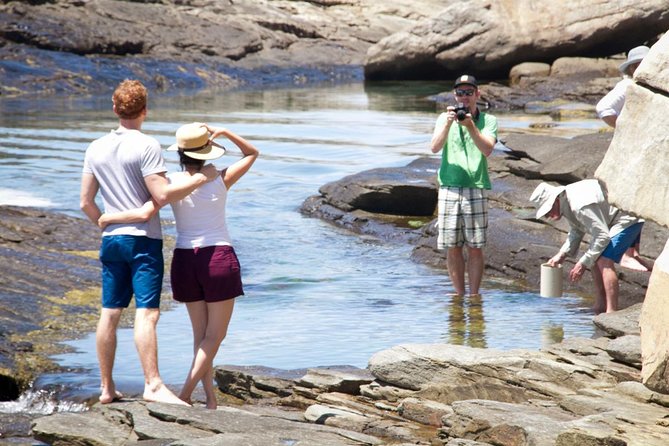 Cape Peninsula With a Marine Biologist - Meeting and Pickup Information