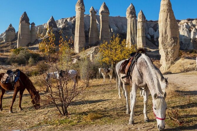 Cappadocia Horse Riding Experience Sunrise Sunset Daytime - Horse Riding Details