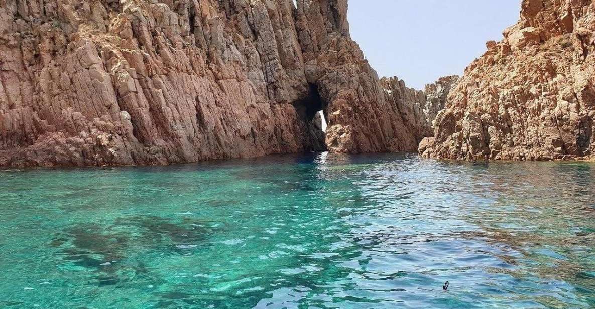 Cargèse: Capo Rosso Snorkeling and Sea Cave Tour - Marine Life Exploration