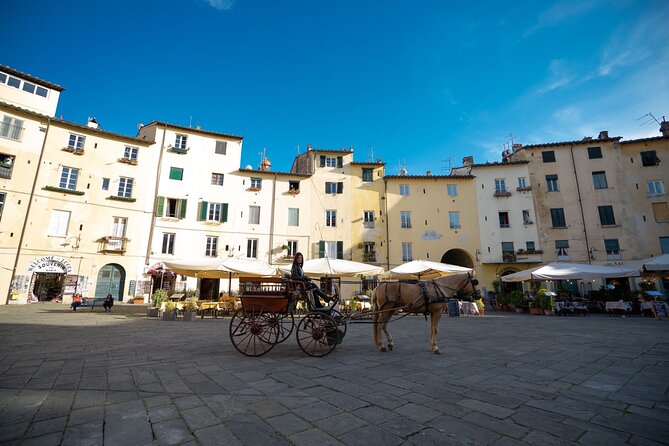 Carriage Tour in the Historic Center of Lucca - Tour Logistics and Accessibility