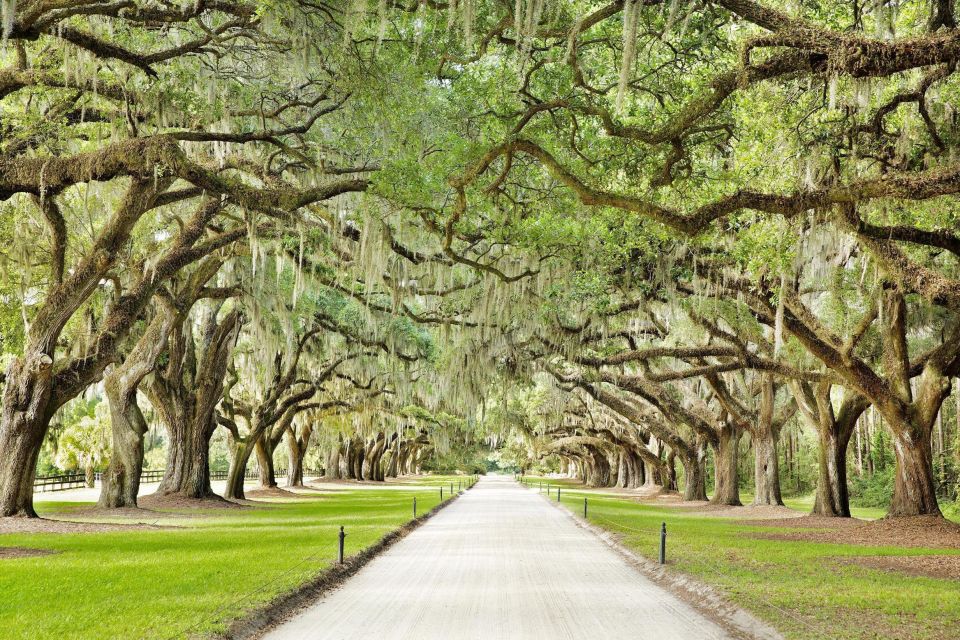 Charleston: Tour Pass With 40+ Attractions - Features and Benefits