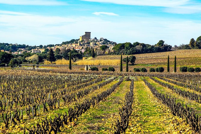 Châteauneuf Du Pape Intensive Vineyard & Fine Wine Experience - Exclusive Winery Visits