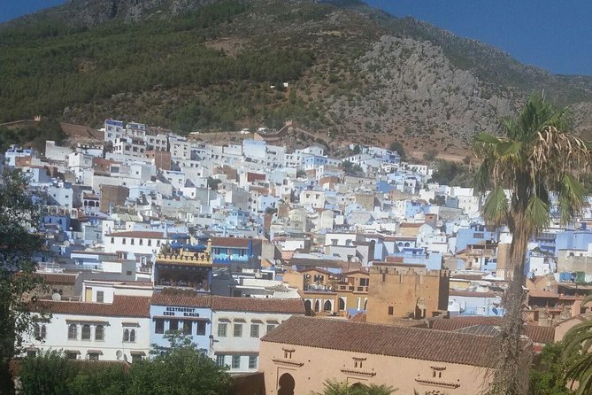 Chefchaouen Bleu City Day Trip From Casablanca. - Dining and Restaurant Options