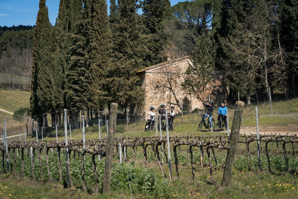 Chianti Classico: E-Bike Tour With Lunch and Tastings - Small Group Experience