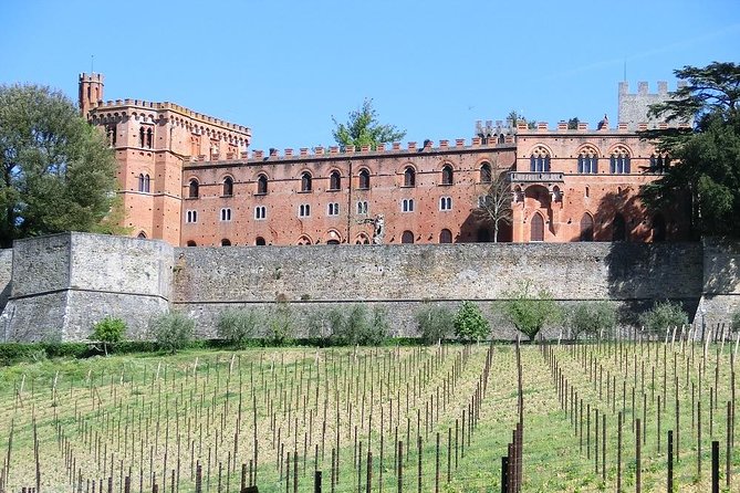 Chianti Classico E-Bike Tour - Inclusions and Amenities