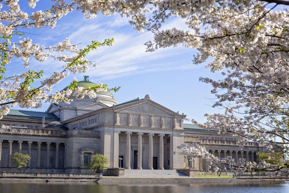 Chicago'S Artsy Cultural Landmarks – Walking Tour - Millennium Park Highlights