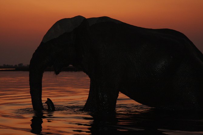 Chobe 3hr Sunset Boat Cruise - Scenic Sunset Experience