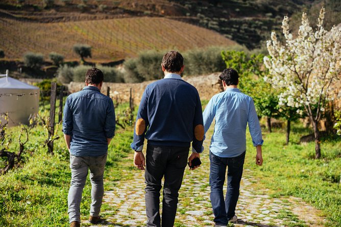 City Escape: Douro Valley Private Day Trip - Highlights of the Private Day Trip