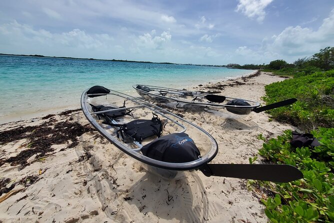 Clear Kayak Mangrove Eco Tour - Pickup and Accessibility