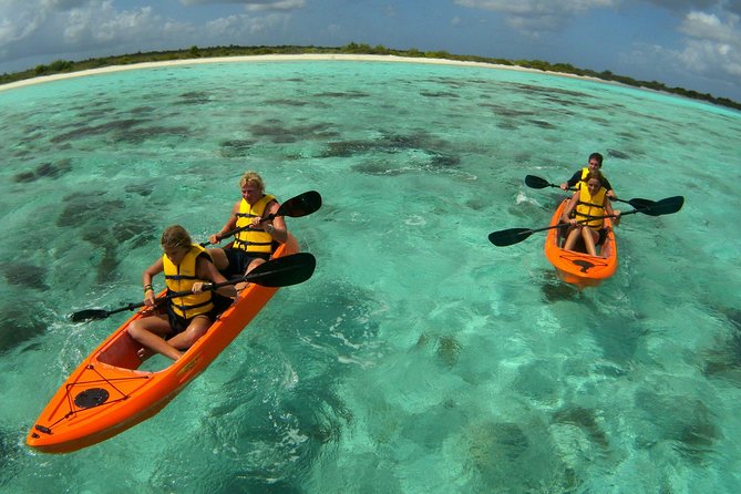 Clearbottom Mangrove Kayak & Snorkel Tour - Tour Details