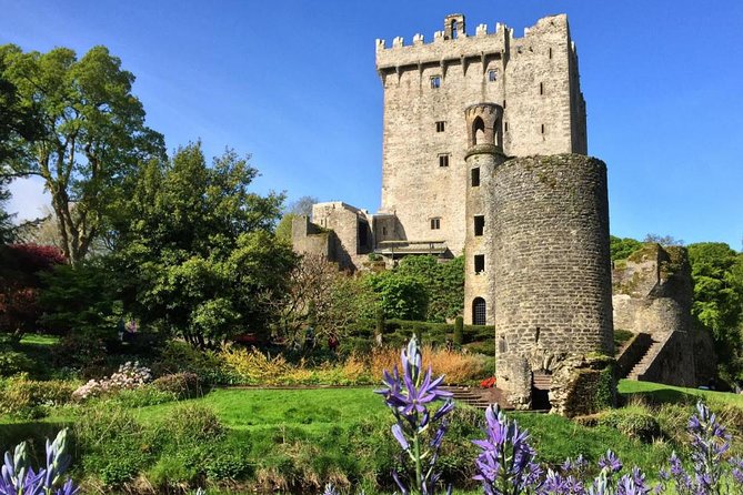 Cobh (Cork) to Blarney Castle & Kinsale - Shore Excursion - Cancellation Policy