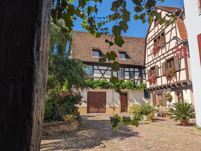 Colmar: Unusual Walking Tour With a Local Guide - Tour Duration and Size