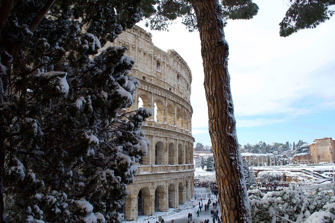 Colosseum, Roman Forum and Palatine Entry - Tour Information