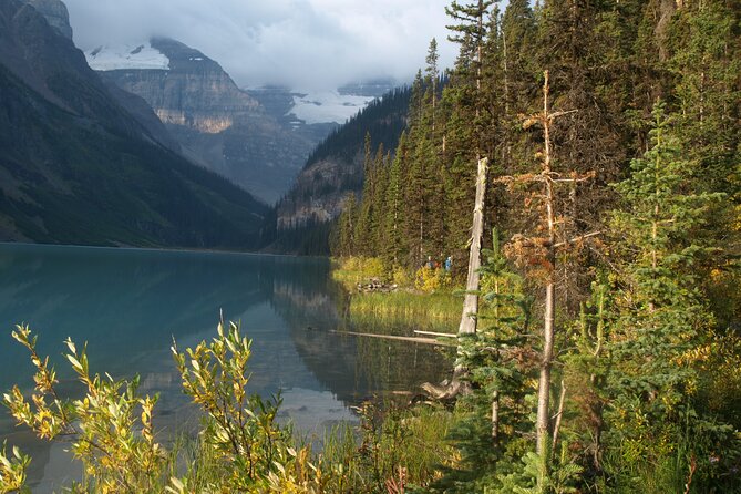 Columbia Icefield Parkway | Banff & Jasper Park | Private Tour - Escape Crowds and Discover Stunning Landscapes