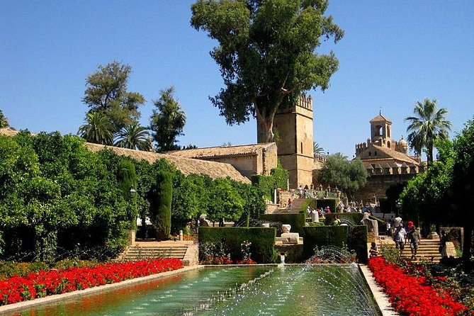 Cordoba Including Mosque and Cathedral Guided Tour From Seville - Exclusions