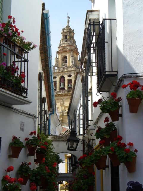 Cordoba - Private Tour Including Visit to the Fortress - Key Locations