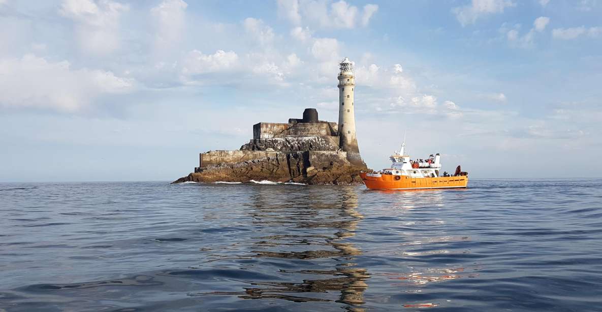 Cork: Fastnet Rock Lighthouse and Cape Clear Island Tour - Experience Highlights