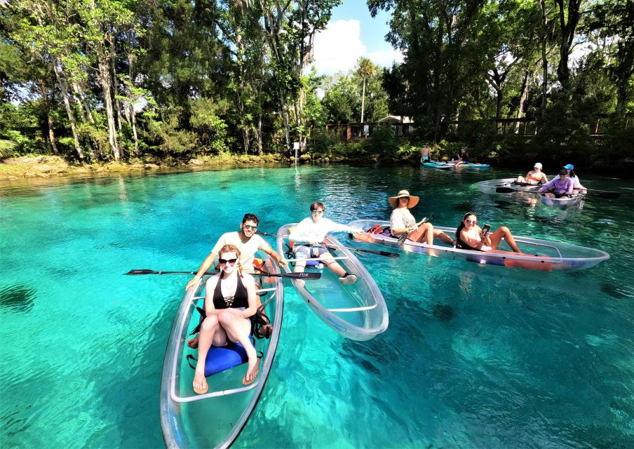 Crystal River: Springs and Manatees Clear Kayak Tour - Wildlife and Seasonal Information