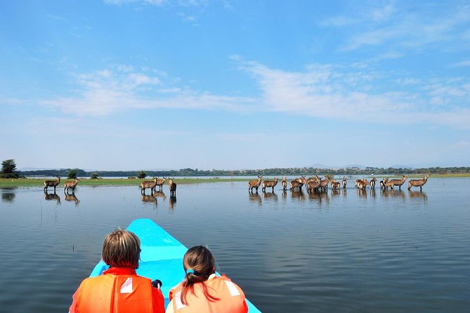 Day Tour To Lake Nakuru Park With Optional Boat Ride on Lake Naivasha - Lake Nakuru Park